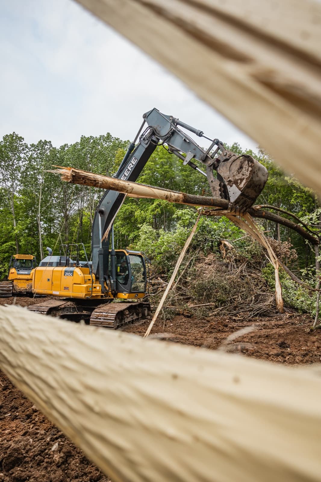 Excavator moving a felled tree on a wooded clearing site